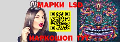 скорость Владимир