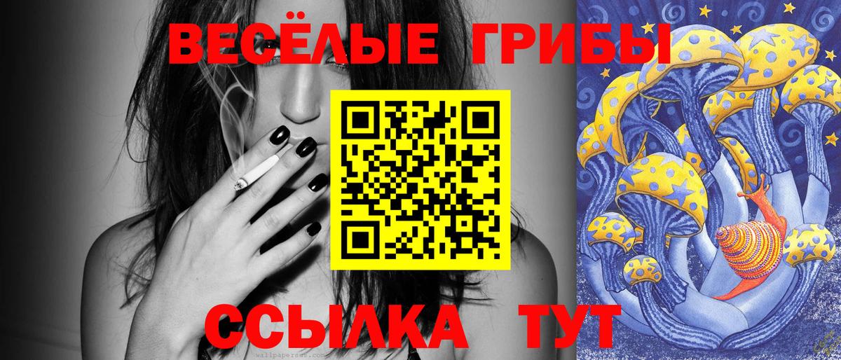 Галлюциногенные грибы GOLDEN TEACHER Минеральные Воды